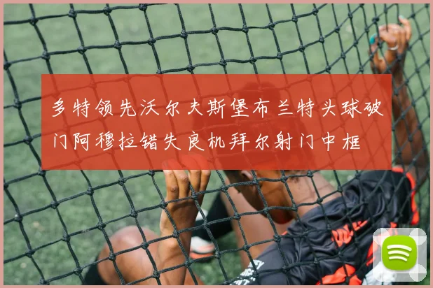多特领先沃尔夫斯堡布兰特头球破门阿穆拉错失良机拜尔射门中框
