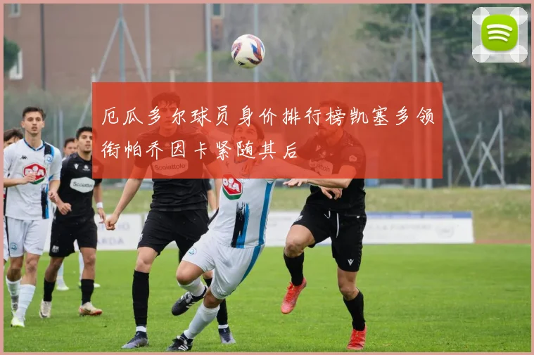 厄瓜多尔球员身价排行榜凯塞多领衔帕乔因卡紧随其后
